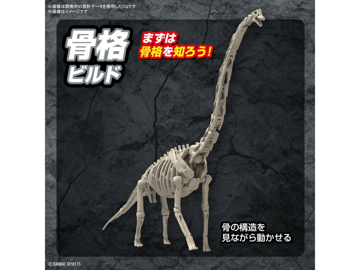 PLANNOSAURUS Brachiosaurus - Image 6