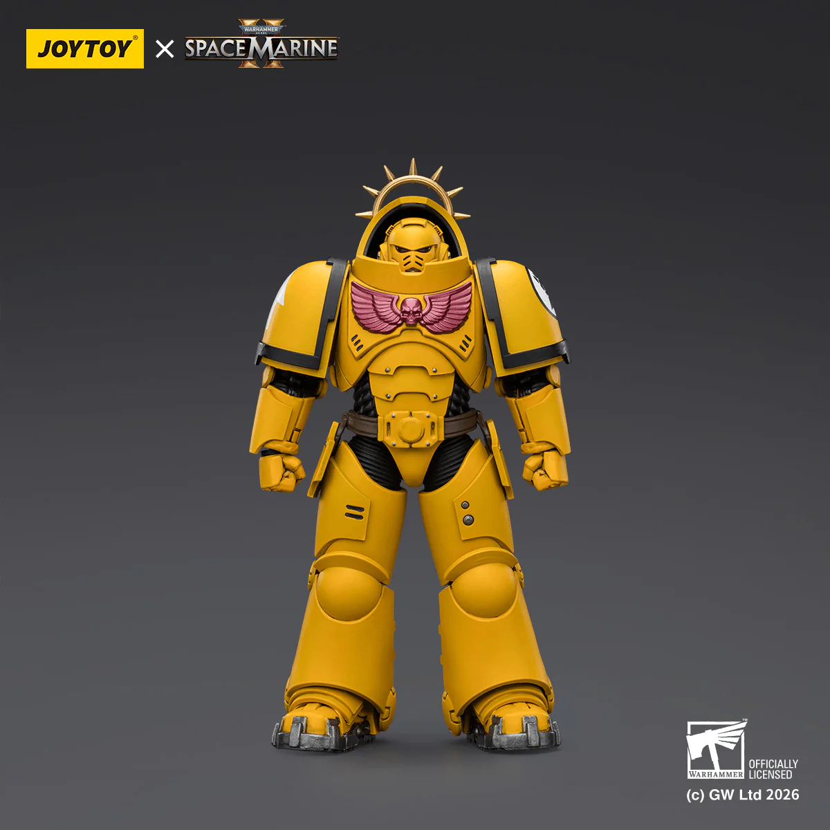 Game Edition Imperial Fists Heavy Intercessor with Heavy Bolt Rifle and Bolt Pistol - Image 2