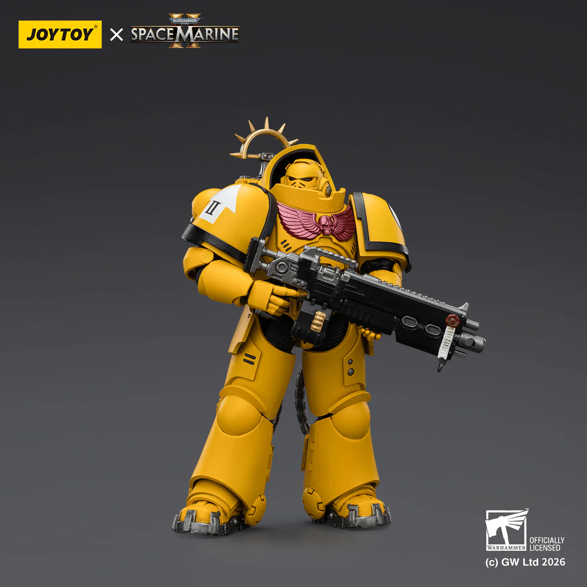 Game Edition Imperial Fists Heavy Intercessor with Heavy Bolt Rifle and Bolt Pistol - Image 4