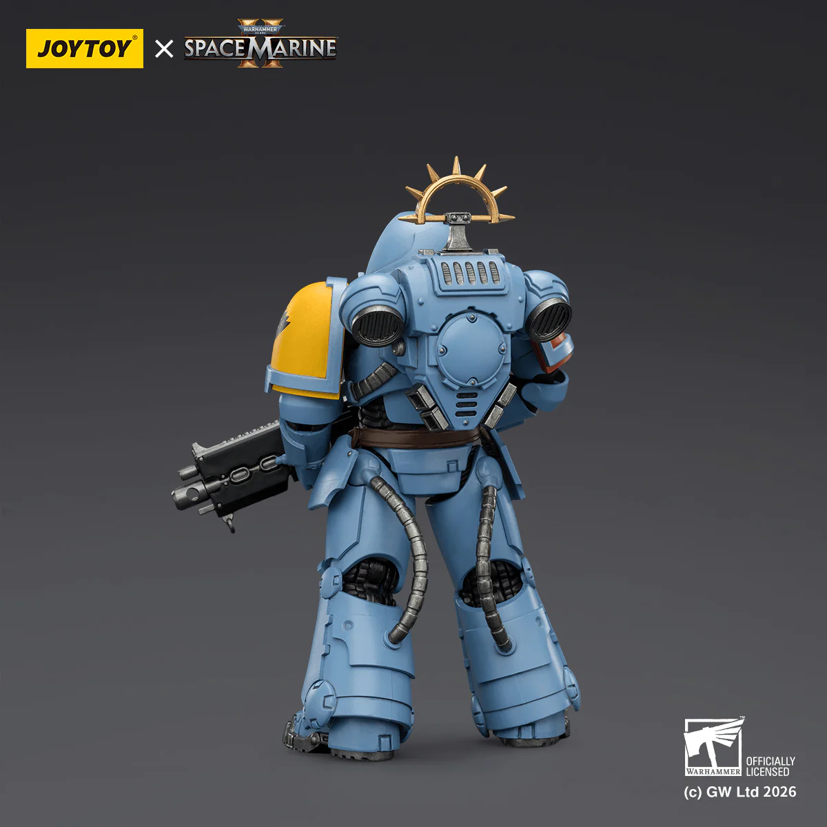Game Edition Space Wolves Heavy Intercessor with Heavy Bolt Rifle and Bolt Pistol - Image 3