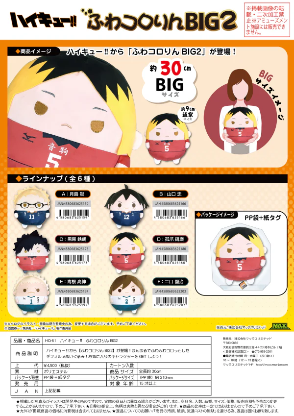Haikyu FUWA KORORIN BIG 2 F - Image 2