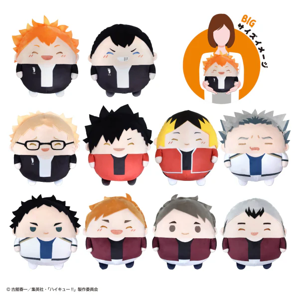 Haikyu FUWA KORORIN BIG SPECIAL (F)