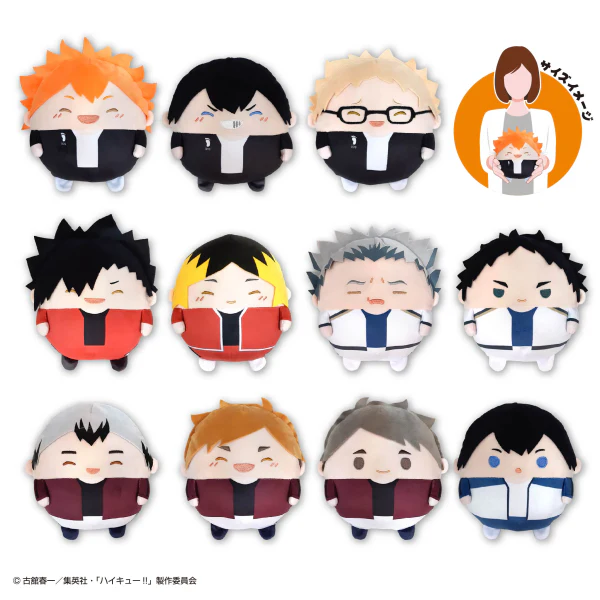 Haikyu FUWA KORORIN M SIZE SPECIAL (D)