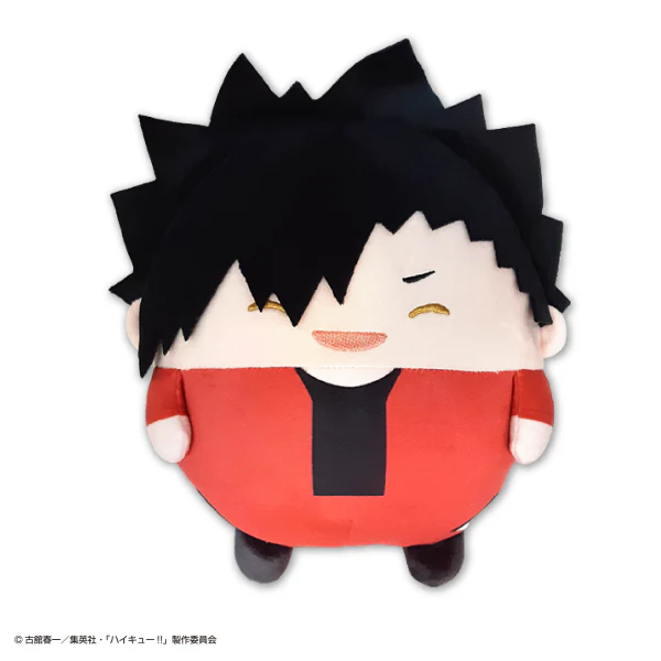 Haikyu FUWA KORORIN M SIZE SPECIAL (D) - Image 2