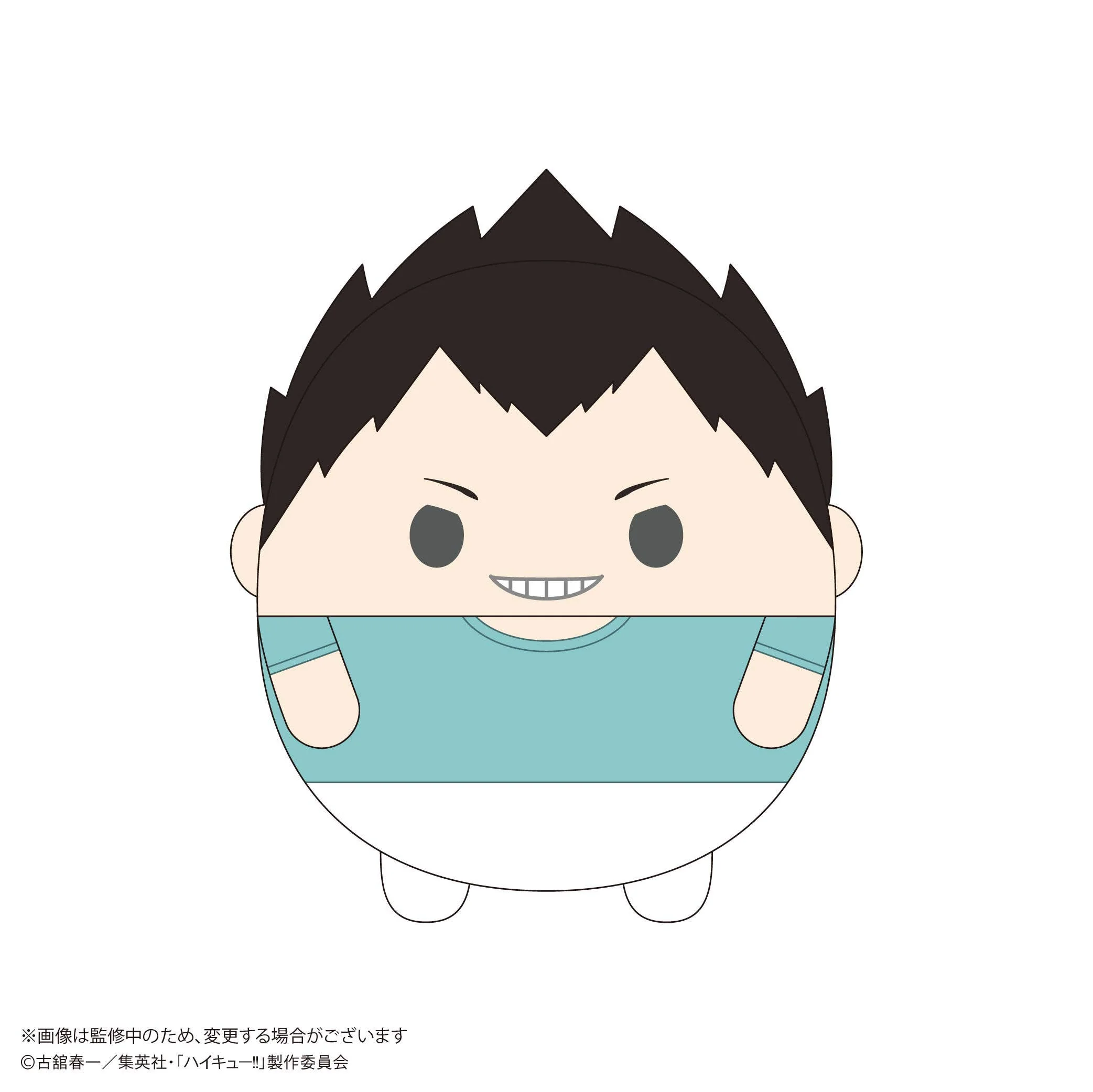 Haikyu FUWA KORORIN Msize 9 (ITEM C)