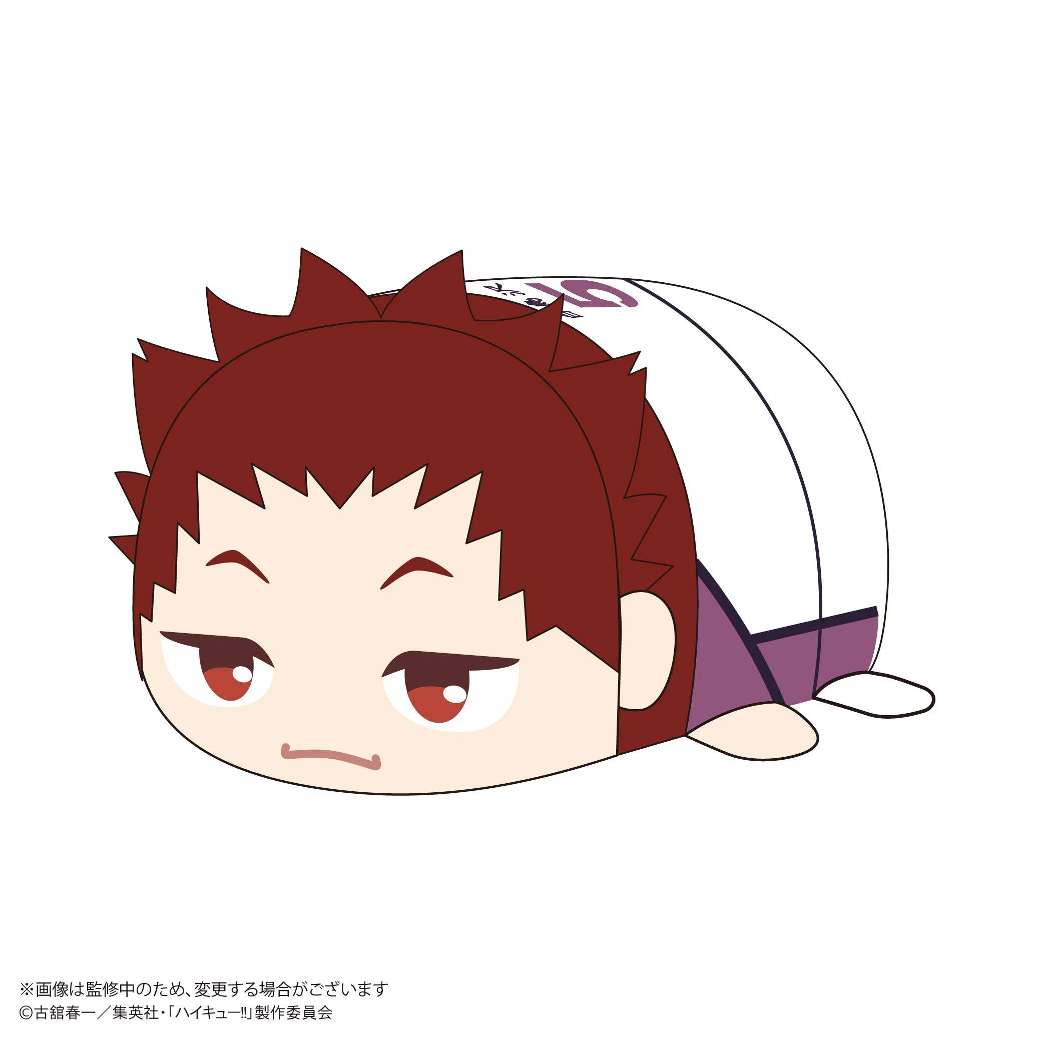 Haikyu POTE KORO MASCOT BIG 2 (Item D)