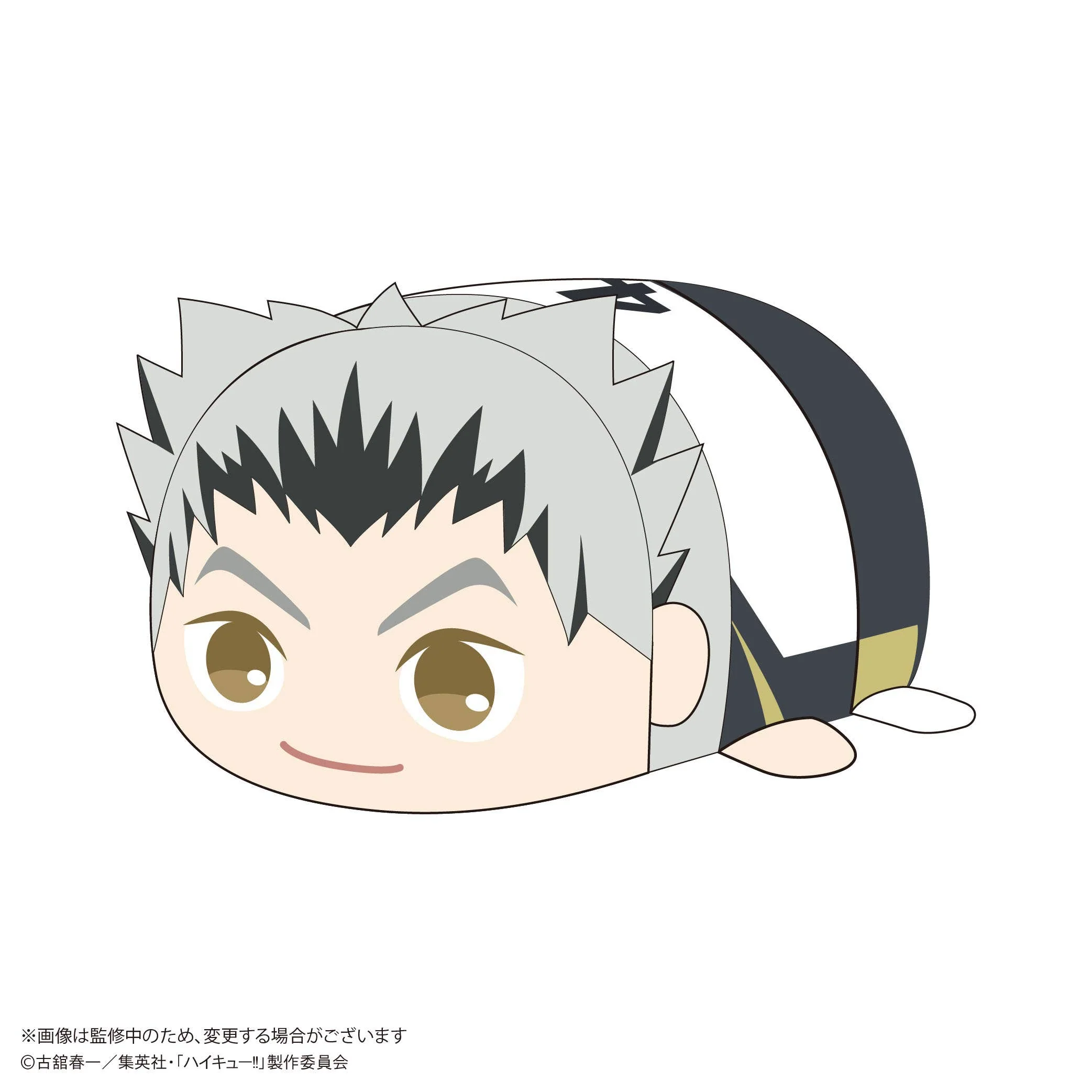 Haikyu POTE KORO MASCOT Msize 2 (Item E)