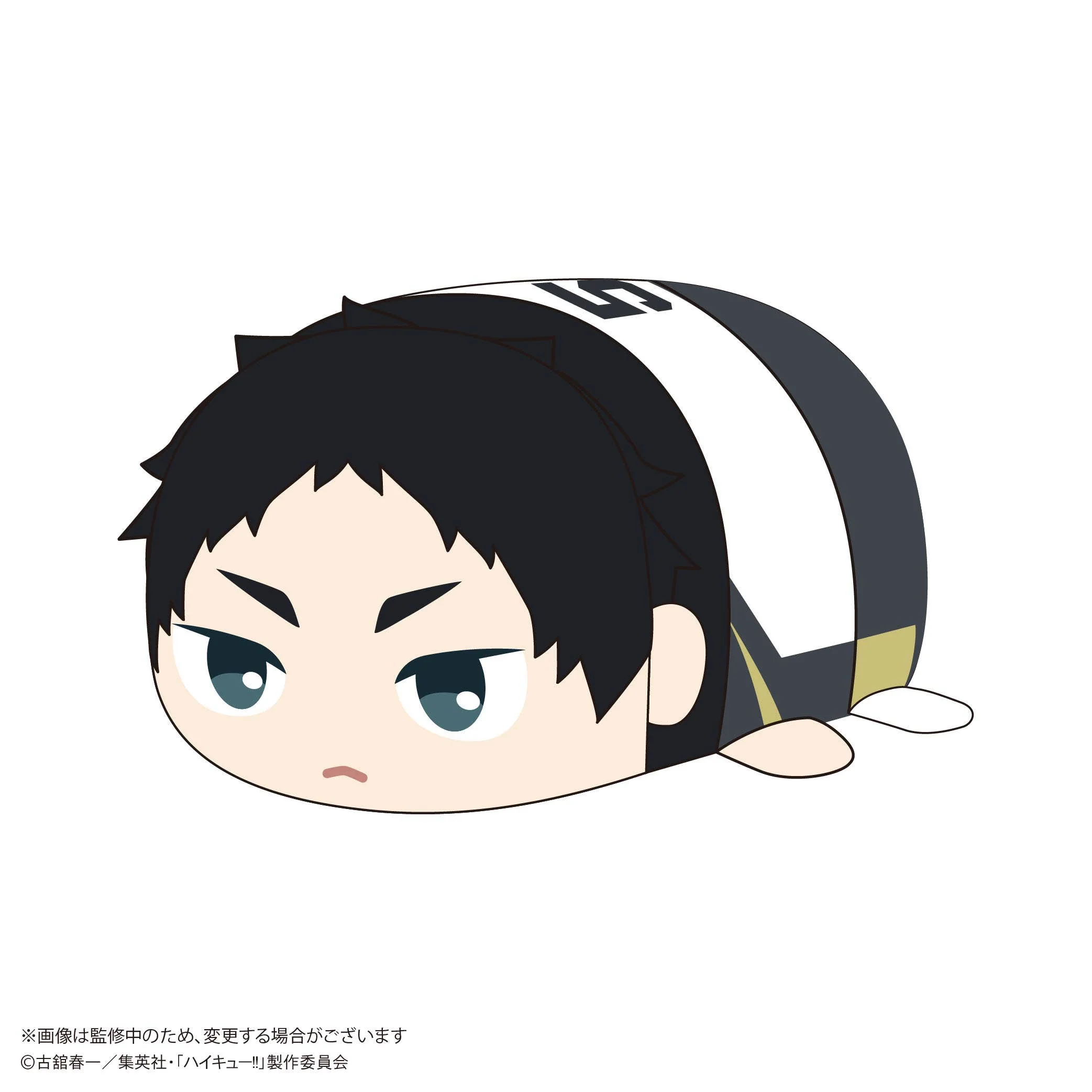 Haikyu POTE KORO MASCOT Msize 2 (Item F)