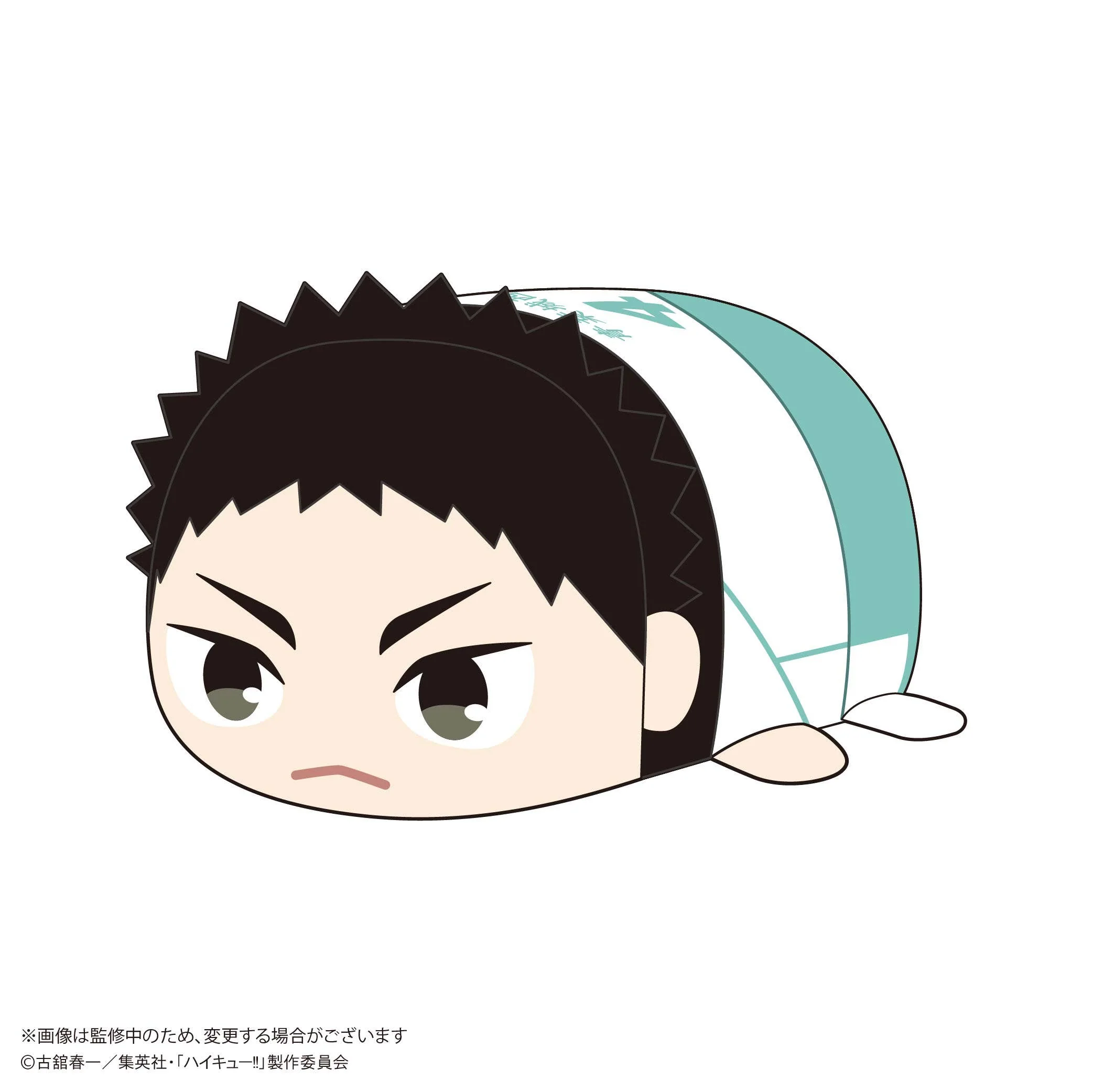 Haikyu POTE KORO MASCOT Msize (ITEM E)