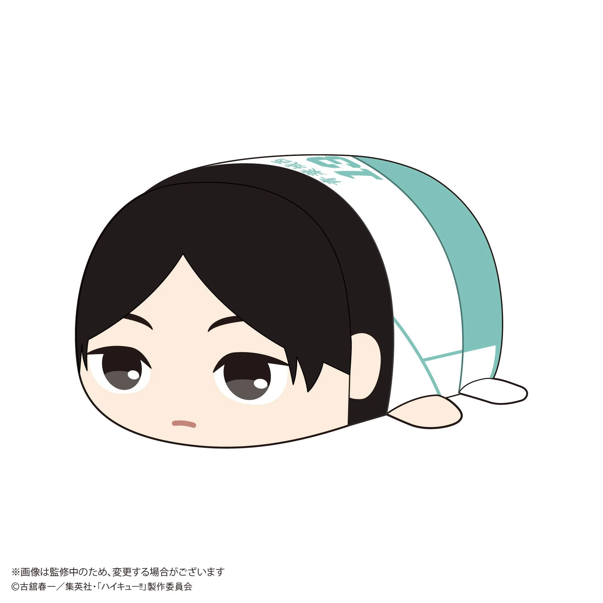 Haikyu POTE KORO MASCOT Msize (ITEM F)