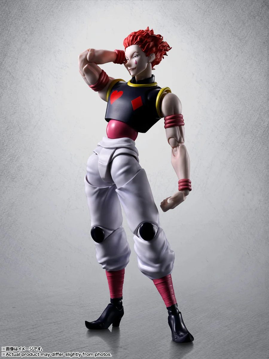 HUNTER×HUNTER HYSKOA - Image 2
