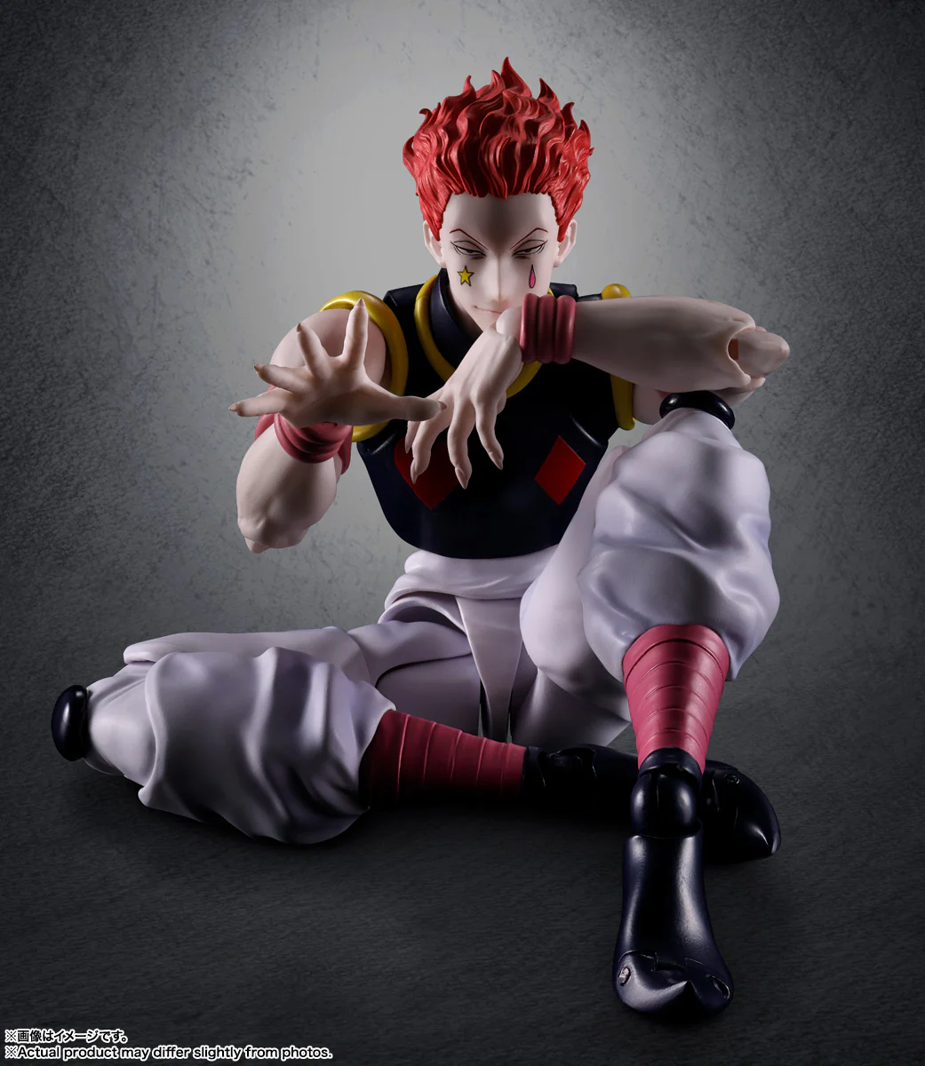 HUNTER×HUNTER HYSKOA - Image 4