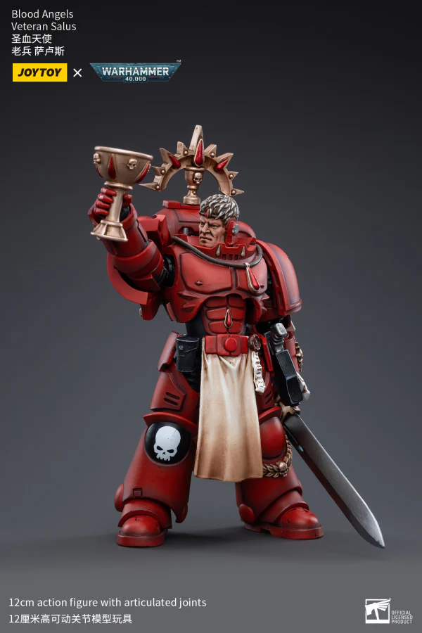 Blood Angels Veteran Salus - Image 3