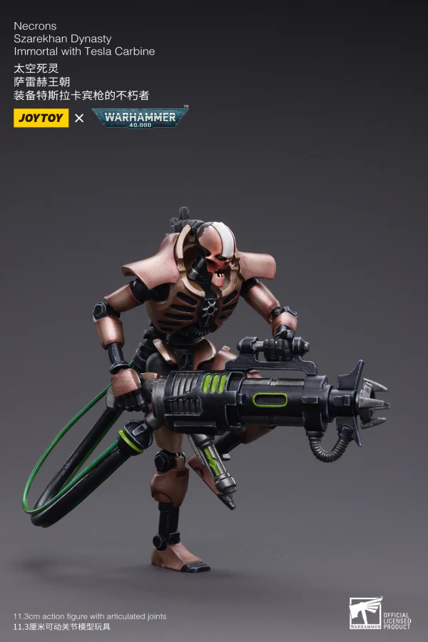 Necrons Szarekhan Dynasty lmmortal with Tesla Carbine [2PCS] - Image 5