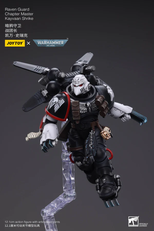 Raven Guard Chapter Master Kayvaan Shrike - Image 10