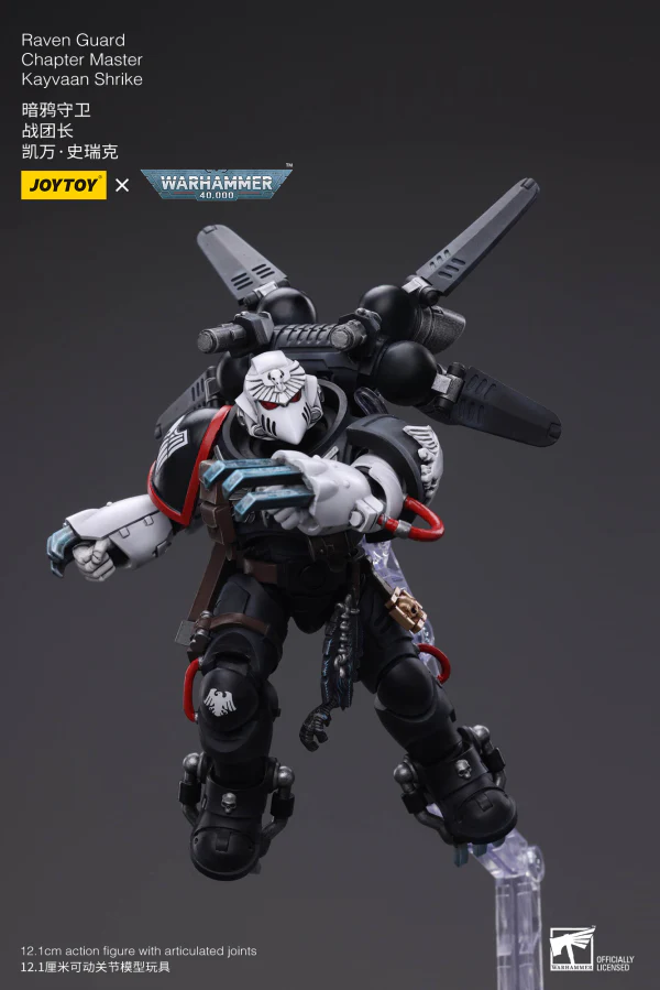 Raven Guard Chapter Master Kayvaan Shrike - Image 11