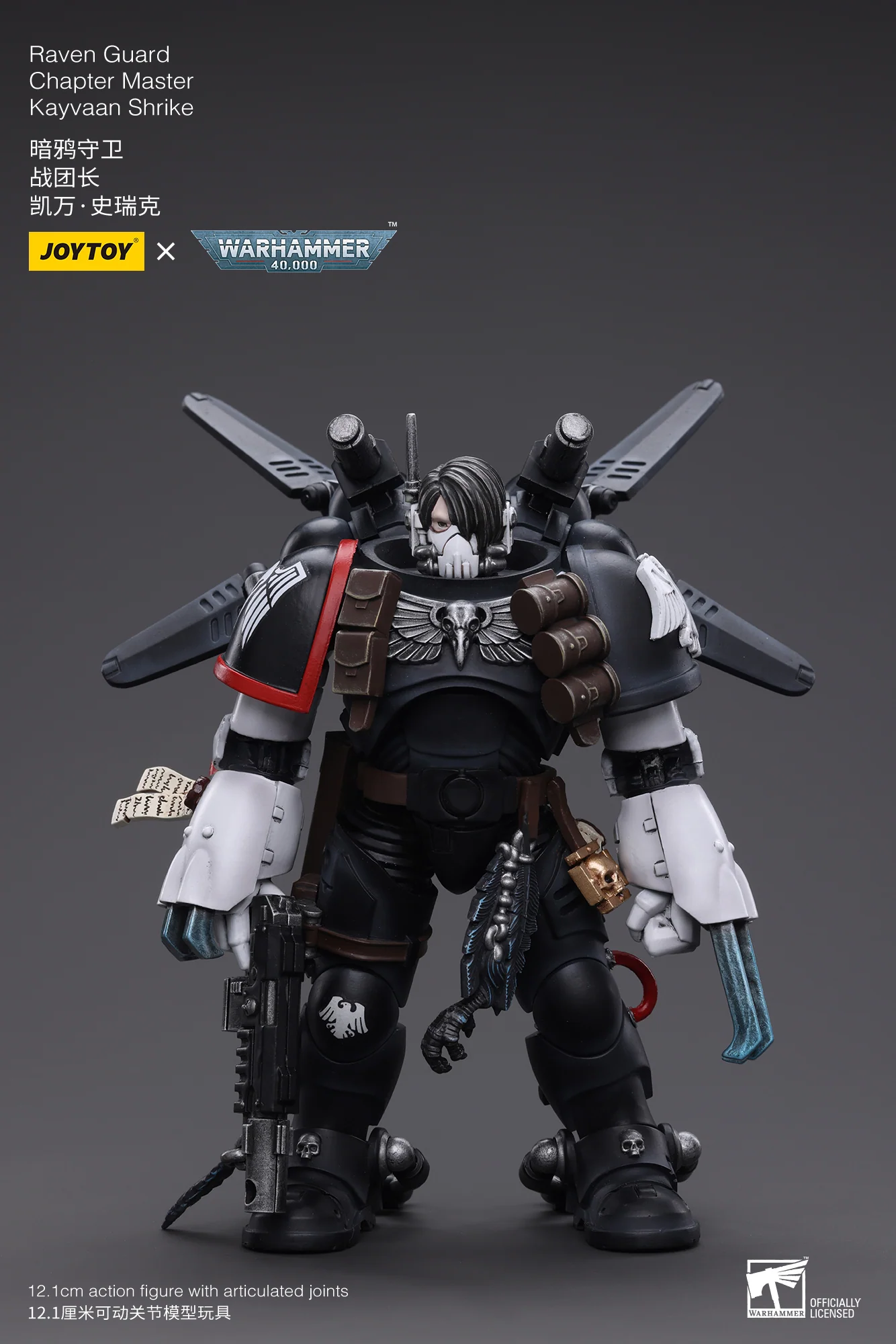 Raven Guard Chapter Master Kayvaan Shrike - Image 12