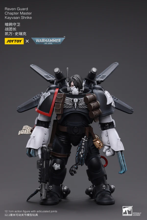 Raven Guard Chapter Master Kayvaan Shrike - Image 3