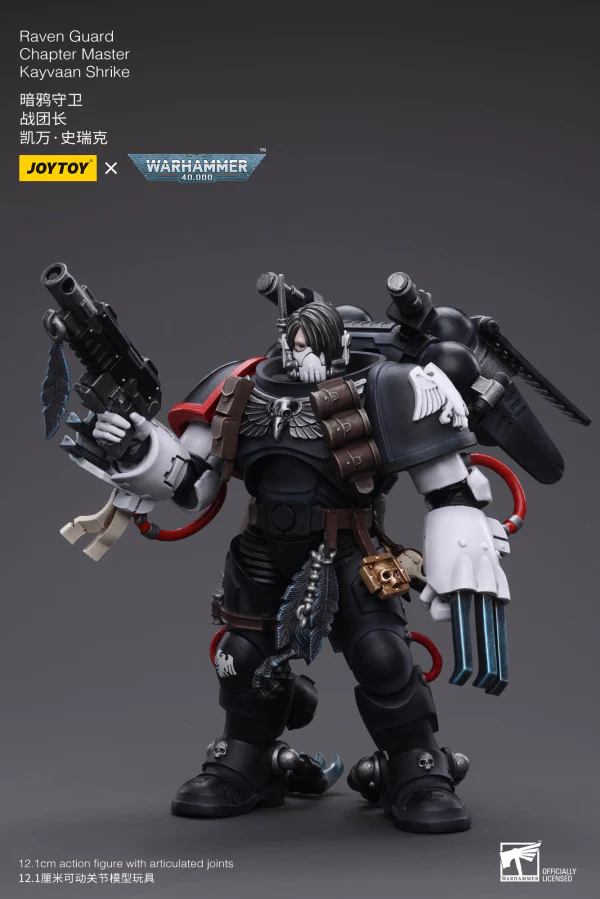 Raven Guard Chapter Master Kayvaan Shrike - Image 4