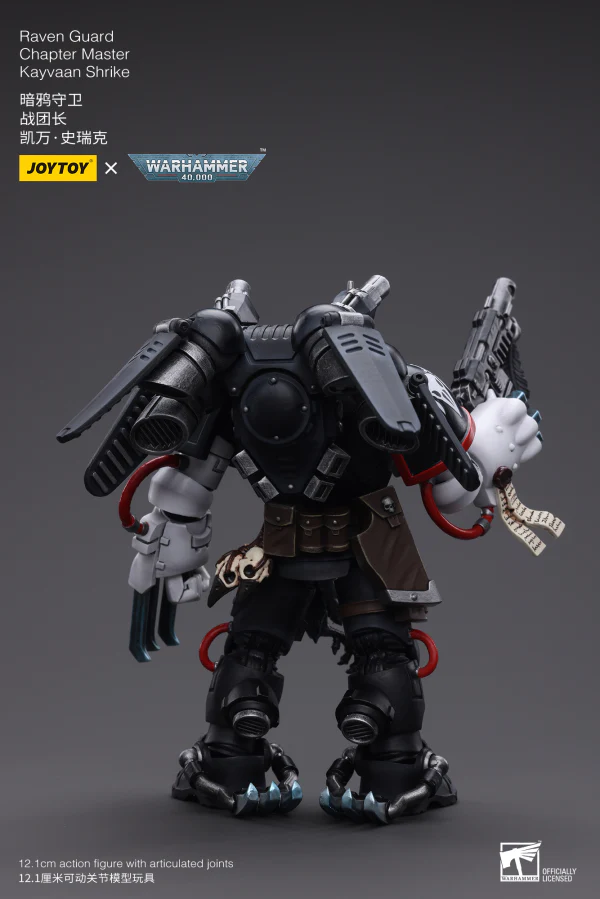 Raven Guard Chapter Master Kayvaan Shrike - Image 5
