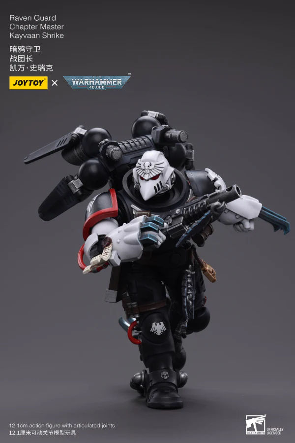 Raven Guard Chapter Master Kayvaan Shrike - Image 6