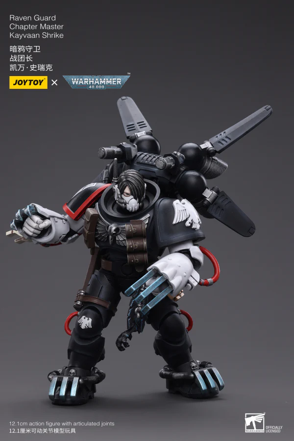 Raven Guard Chapter Master Kayvaan Shrike - Image 7