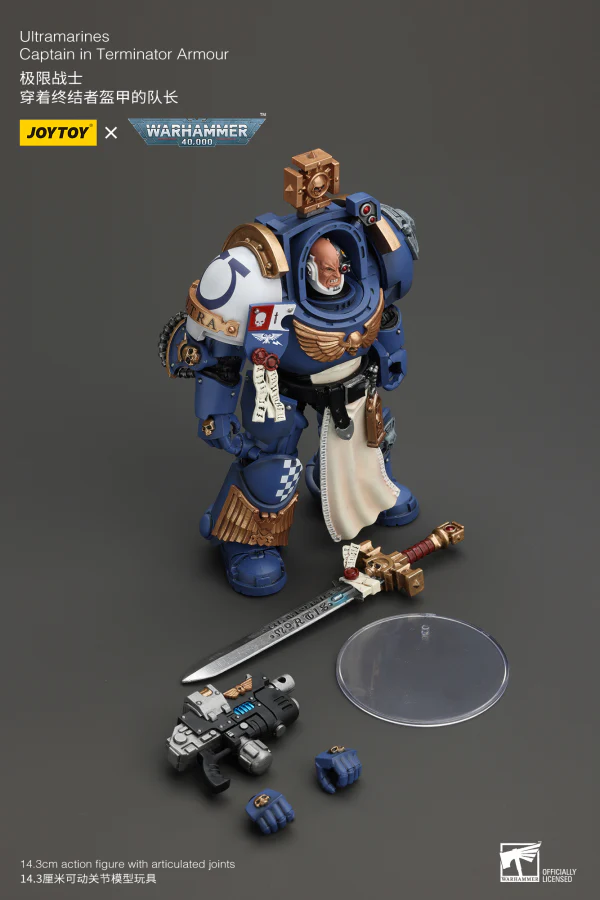 Ultramarines Captain In Terminator Armour - Image 7