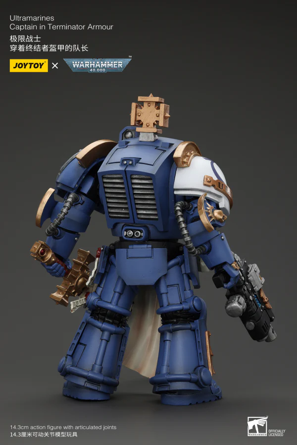 Ultramarines Captain In Terminator Armour - Image 9