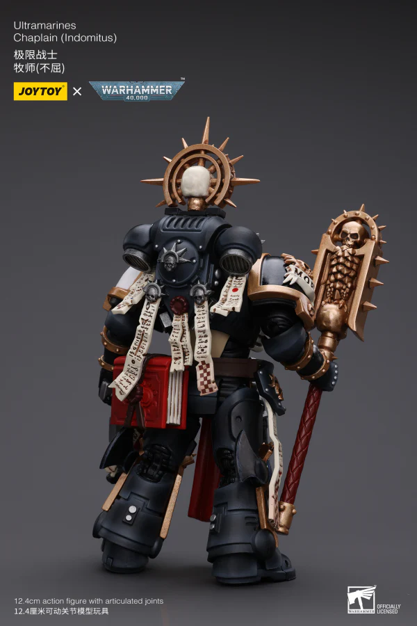 Ultramarines Chaplain(Indomitus) - Image 4