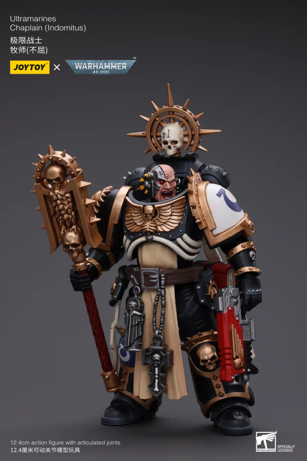 Ultramarines Chaplain(Indomitus) - Image 5