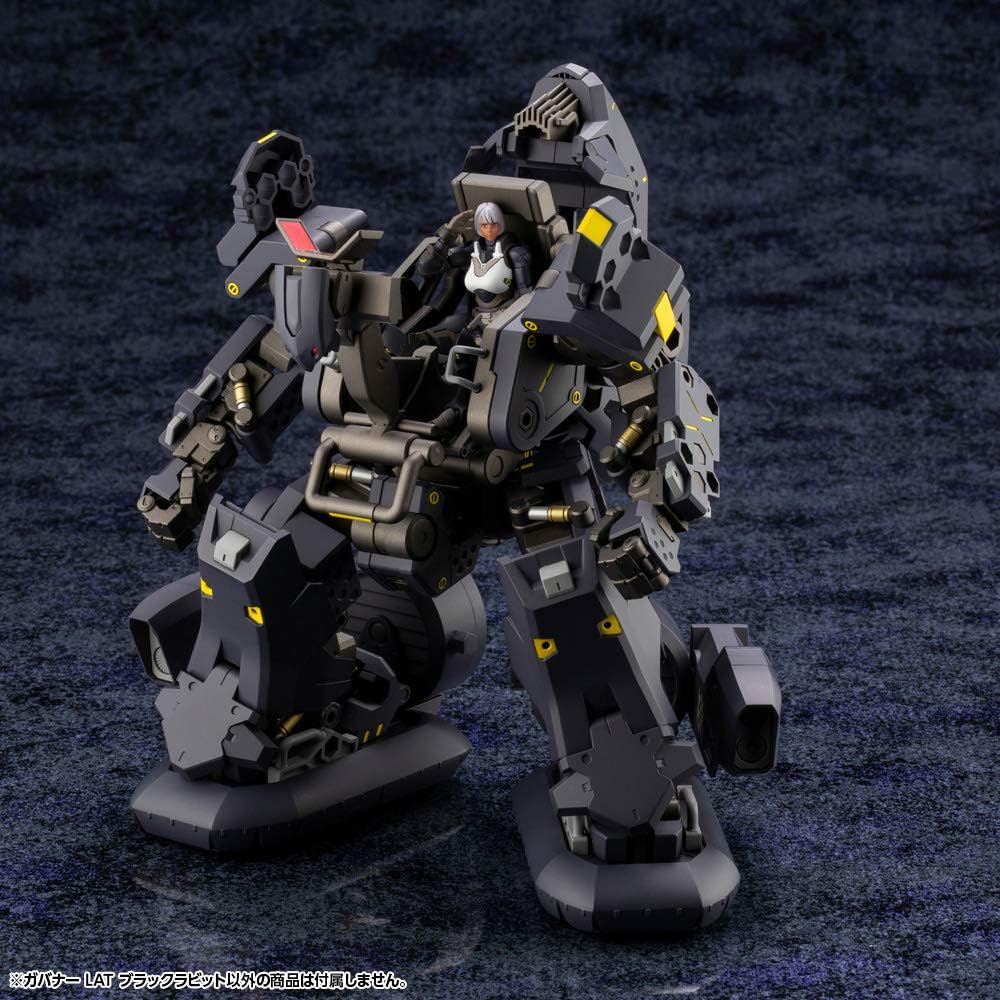 GOVERNOR LAT BLACK RABBIT - Image 14