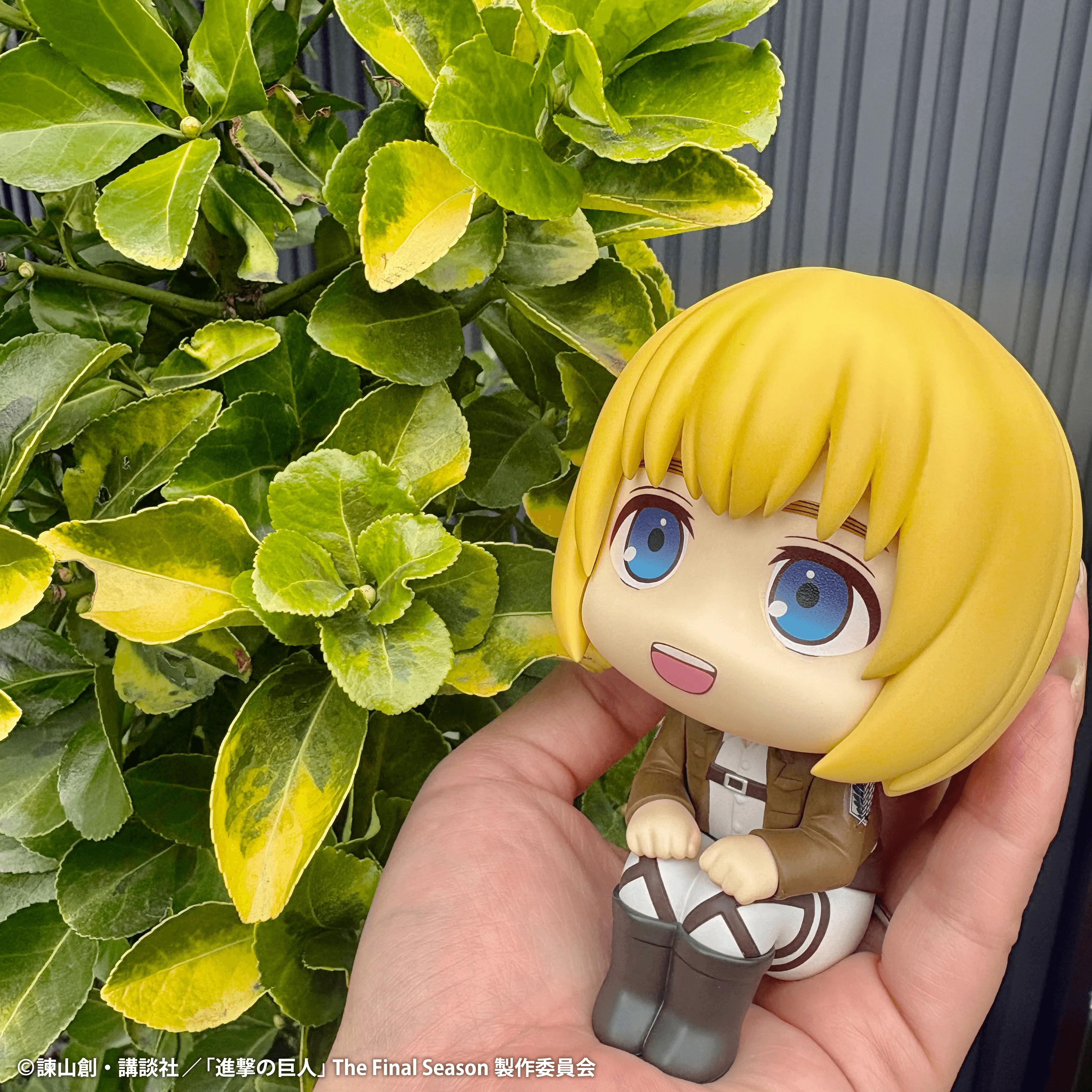 Lookup Attack on Titan Armin Arlert - Image 4