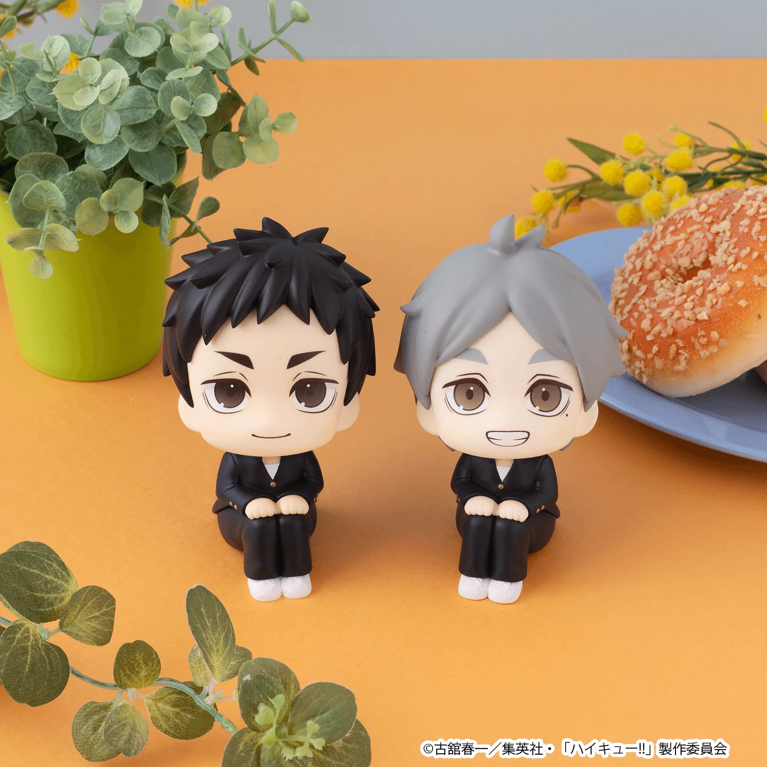 Lookup Haikyu!! Koushi Sugawara - Image 9