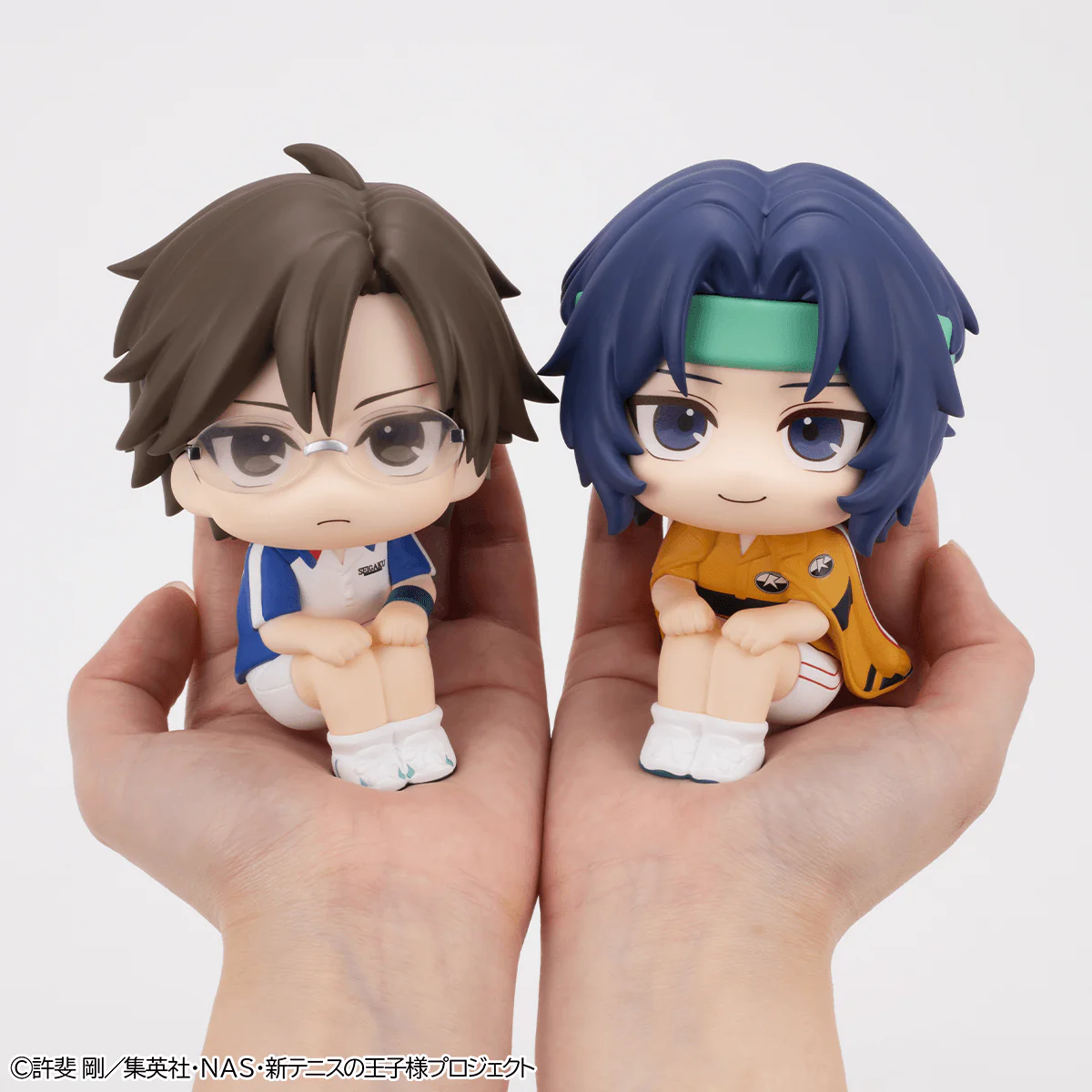Lookup The New Prince of Tennis Seiichi Yukimura - Image 9