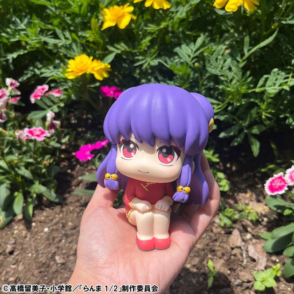 Lookup TV Anime Ranma 1/2 Shampoo - Image 10