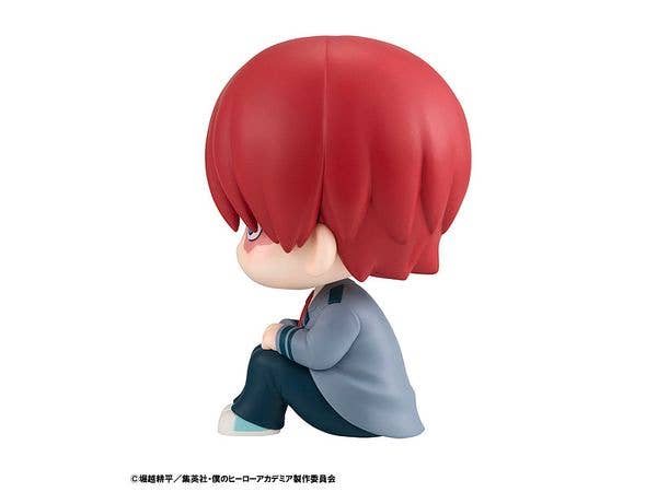 Lookup My Hero Academia Shoto Todoroki - Image 6