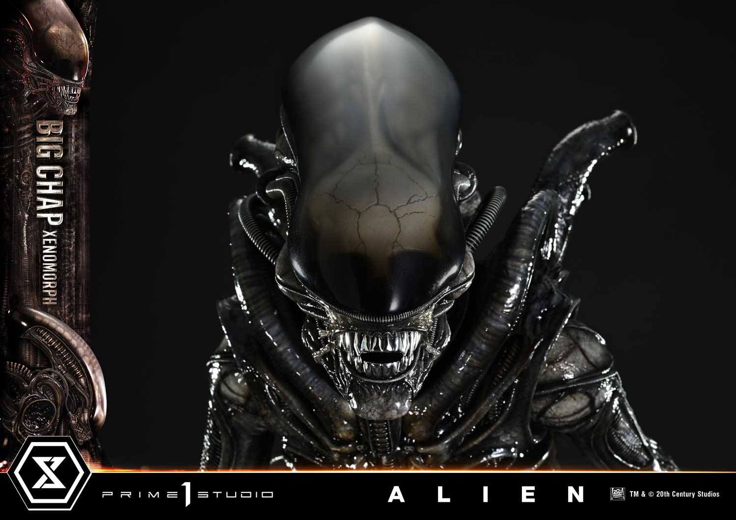 Museum Masterline XL Alien (Film) Big Chap Xenomorph Regular Ver. - Image 12