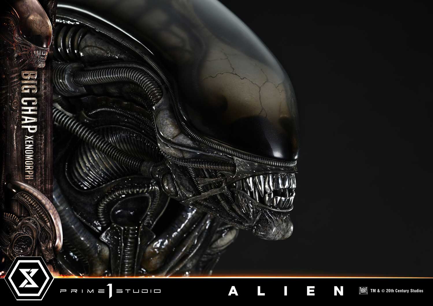 Museum Masterline XL Alien (Film) Big Chap Xenomorph Regular Ver. - Image 4