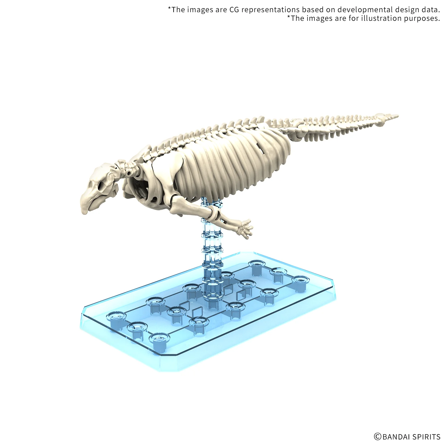 PLANNOSAURUS Hydrodamalis gigas - Image 2