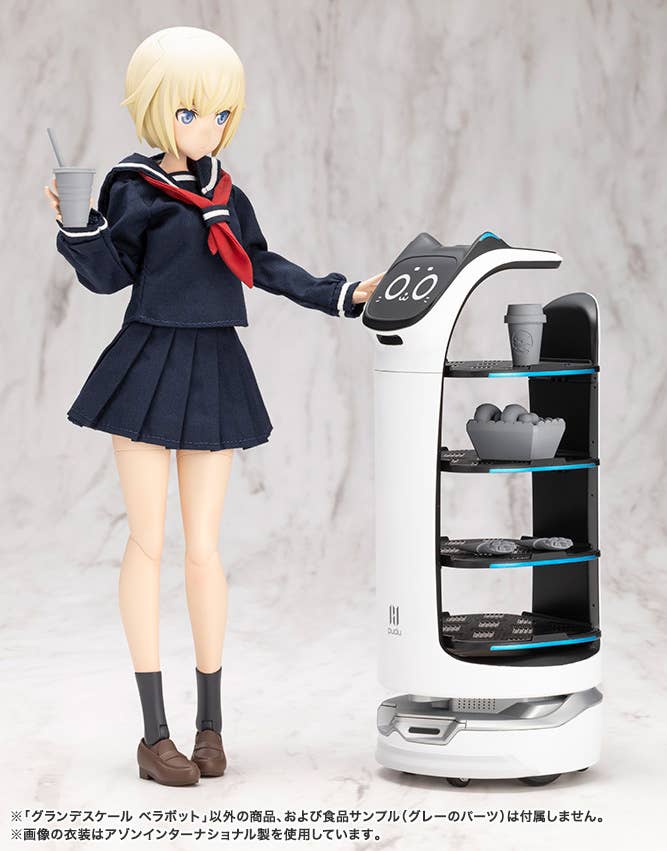 GRANDE SCALE BellaBot - Image 14