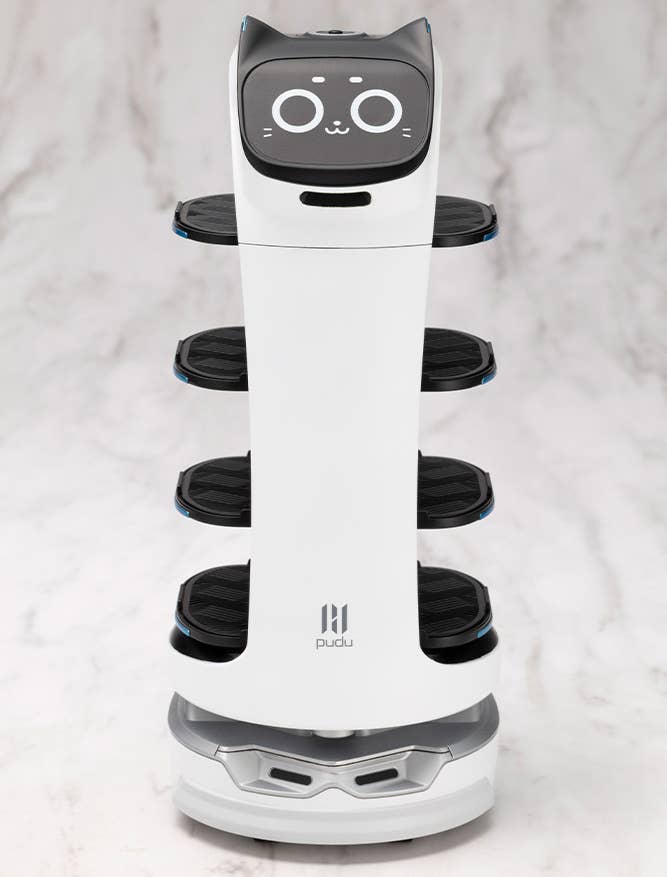 GRANDE SCALE BellaBot - Image 2