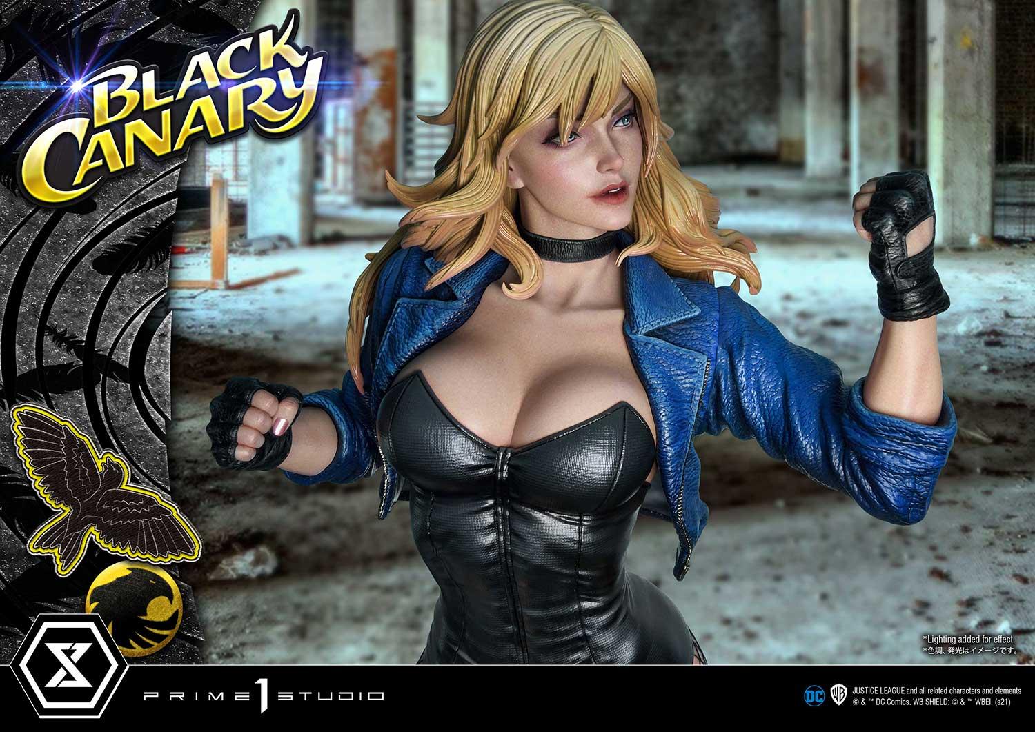 Museum Masterline DC Comics Black Canary EX Bonus Version - Image 28