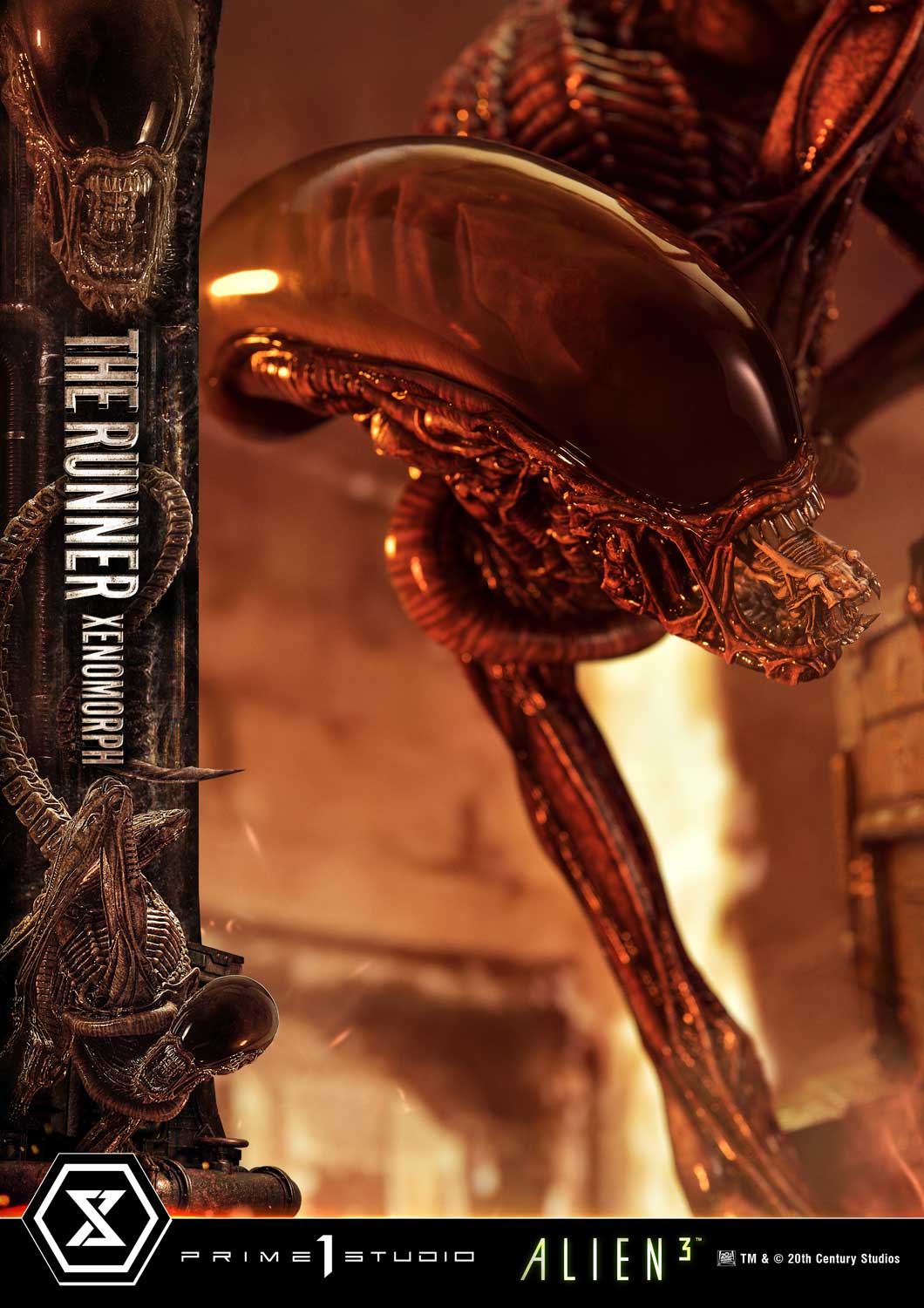 Museum Masterline XL Alien 3 (Film) Dog Alien - Image 17