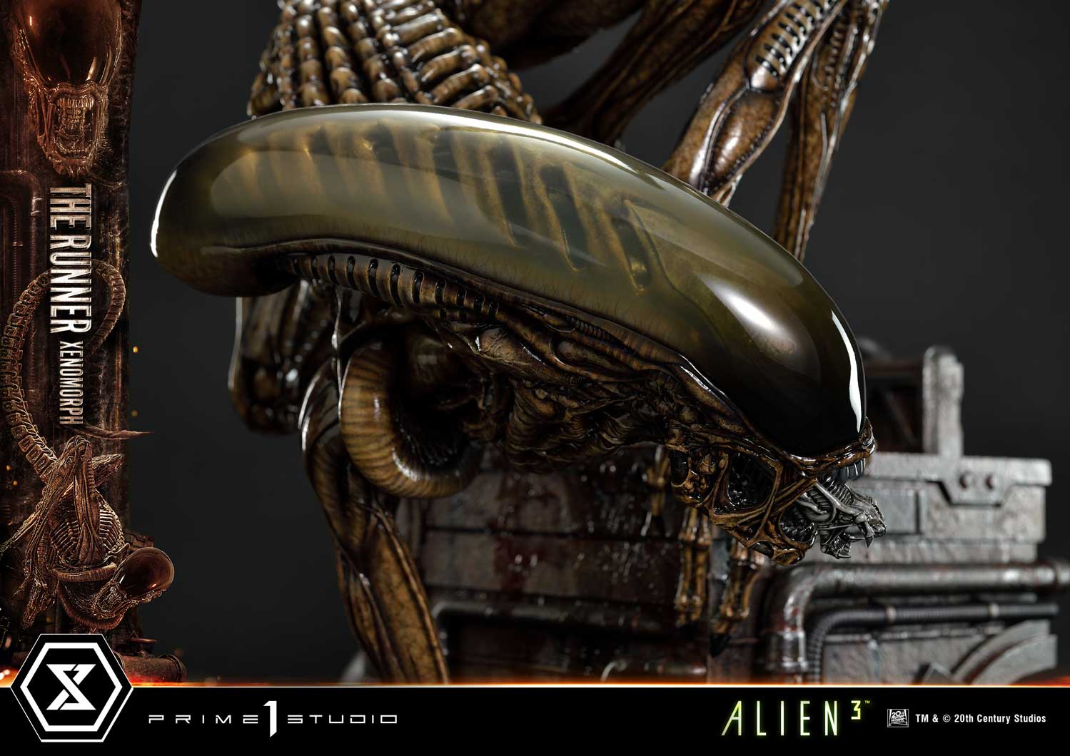 Museum Masterline XL Alien 3 (Film) Dog Alien - Image 24