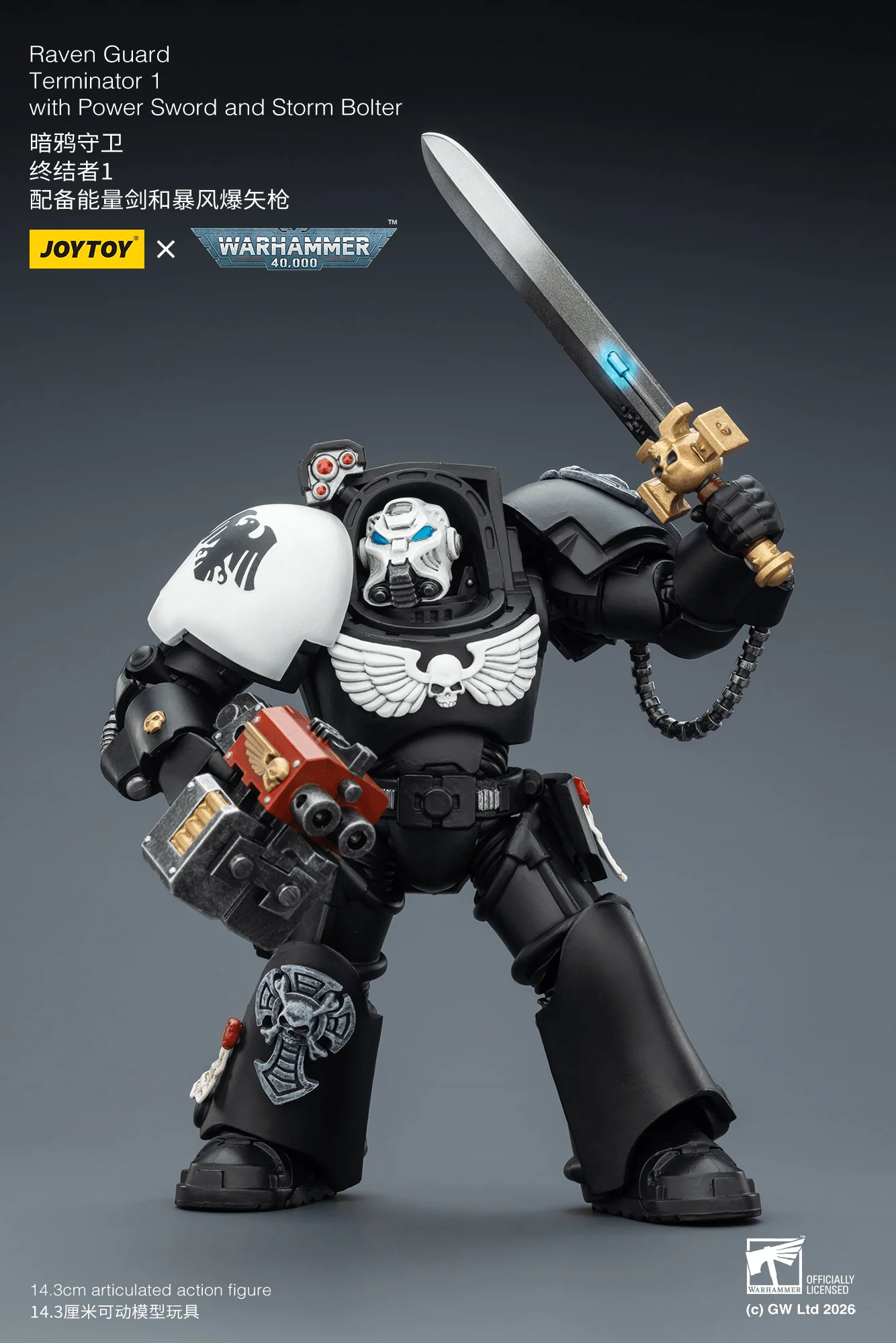 Raven Guard Terminator 1 with Power Sword and Storm Bolter - Image 5