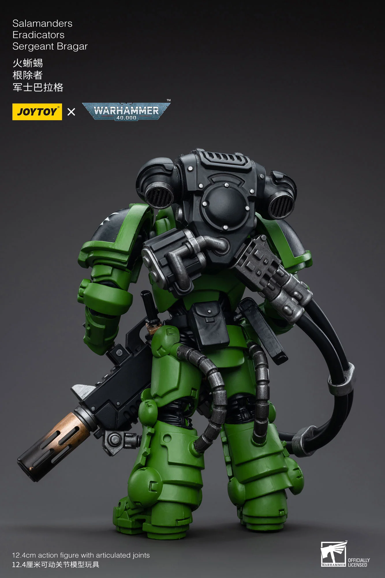 Salamanders Eradicators Sergeant Bragar - Image 3