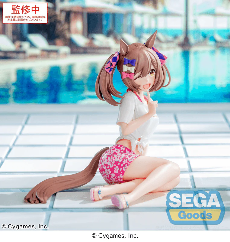 Yumemirize Umamusume: Pretty Derby Smart Falcon -Gaze on Me!-