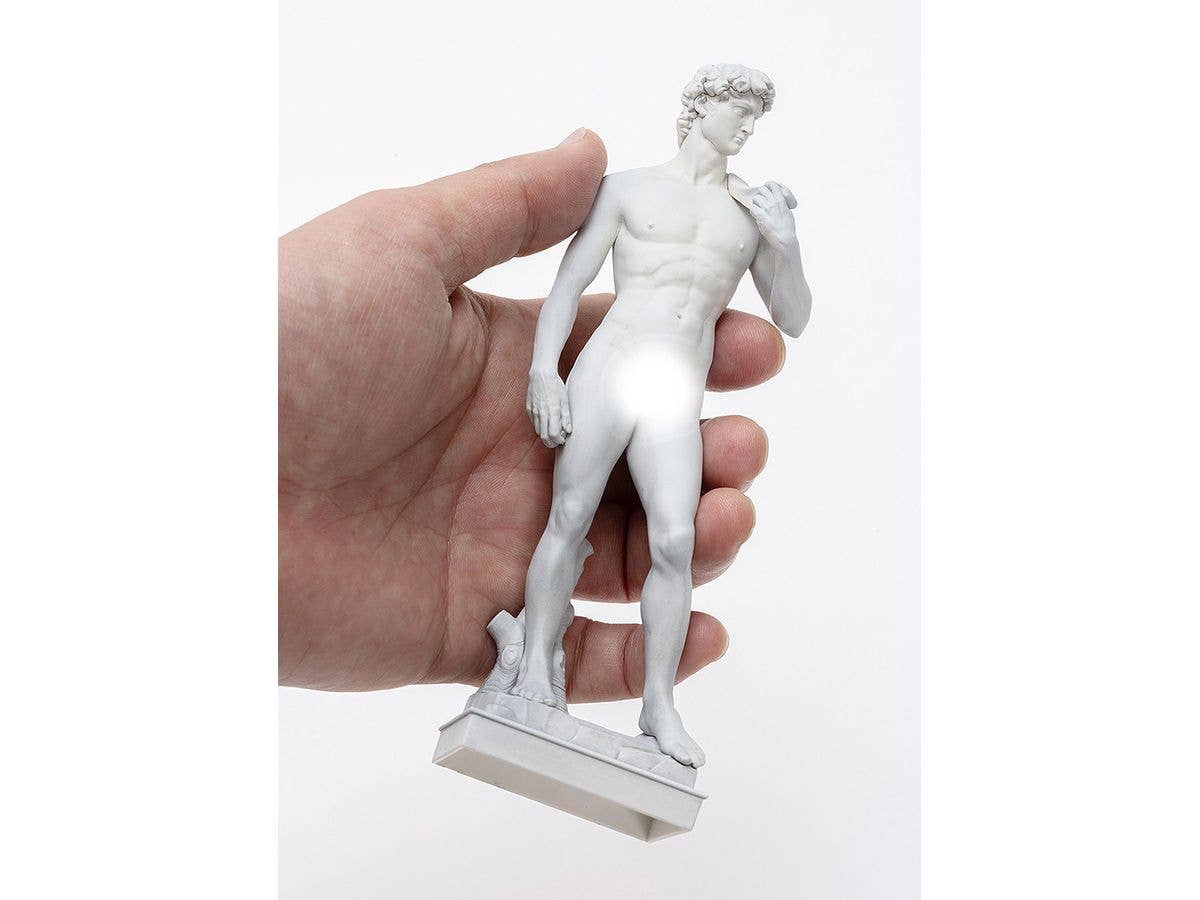 David - Image 3