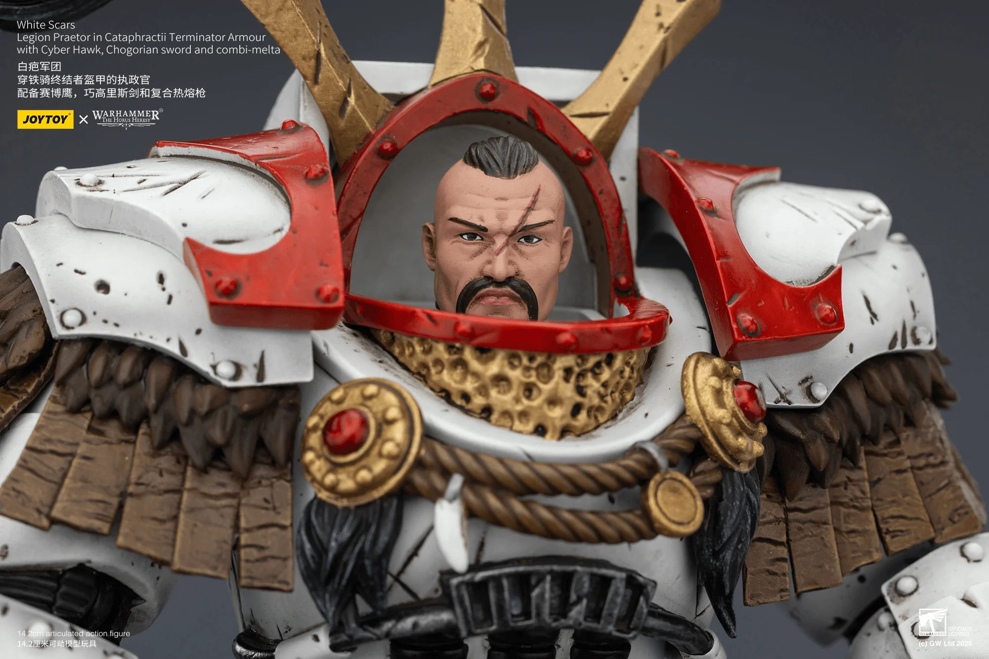 White Scars Legion Praetor in Cataphractii Terminator Armour with Cyber Hawk, Chogorian sword and combi-melta - Image 7