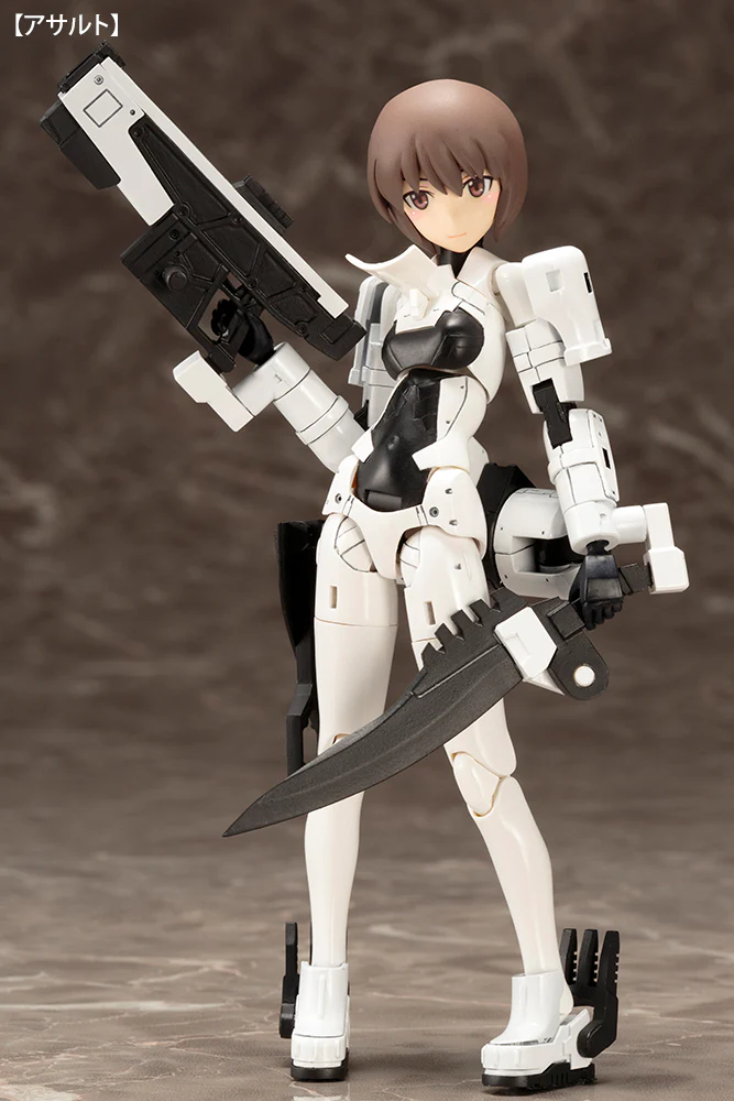 WISM Soldier ASSAULT/SCOUT - Image 2